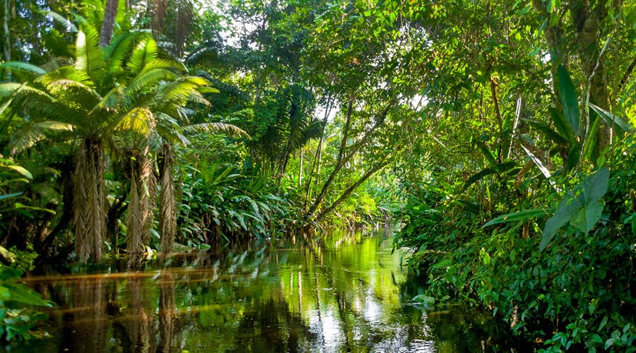 Amazonas Peruano